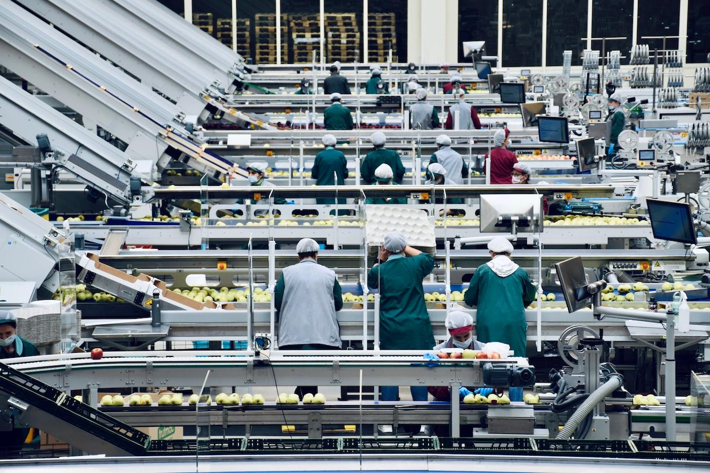 Food Supply Chain: The Journey from Farm to Fork